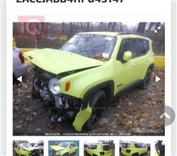 جيب رينيجيد